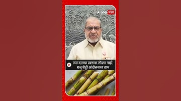 Raju Shetti : ऊस दराच्या प्रश्नावर तोडगा नाही,राजू शेट्टी आंदोलनारव ठाम