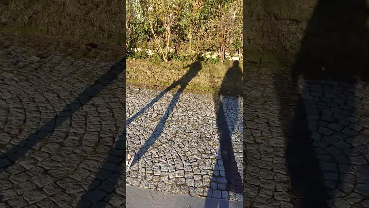 23 января 2020 г.