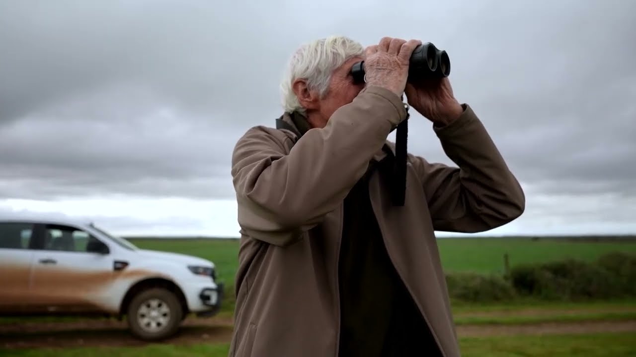 South Africans scrambling to save blue cranes from extinction | REUTERS