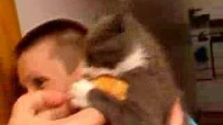 猫にパンは絶対NG！与えてはいけない理由とパンを離さない時の対処法