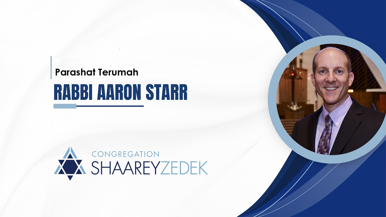 The Jewish Response Is to Build: On Bret Stephens, Dan Senor, and Parashat Terumah