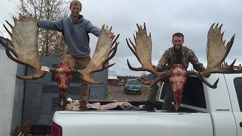 Watch Our Alaska Moose Hunt On Kuiu!!!!