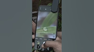 My Trusty Lens 📷 | Adcom 12x/24x Macro Mobile Lens | #shotwithadcom #macrophotography #macrolens