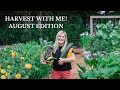 Vegetable Garden: August Harvest