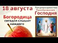 Сегодня Богородица слышит каждого просите чтобы семья не знала бедности и бед... Лук защитит дом