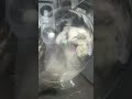 Washer TCL like dream 9L start washing at 60°