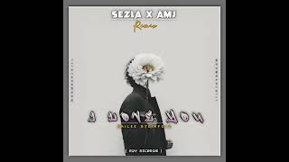 I Love Yous  Hailee Steinfeld sezla U0026 Amj Moombahchill Remix 2026