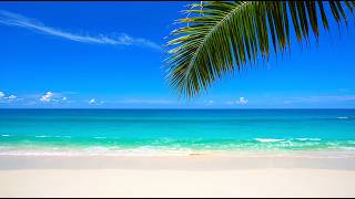 Fast Stress Relief: Soothing Ocean Waves 🌊🌺 Natural Beach Ambience for Sleep & Meditation