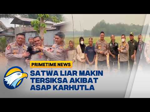 Misi Penyelamatan Satwa di Tengah Ancaman Karhutla Kalimantan - [Primetime News]