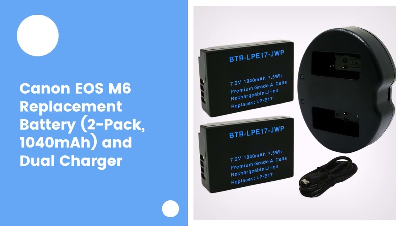 Canon EOS M6 Replacement Battery (2-Pack, 1040mAh) and Dual Charger