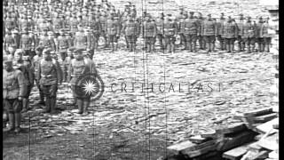 Us Brigadier General Wilds P Richardson Reviews Elements Of The 339Th Infantry At...hd Stock Footage