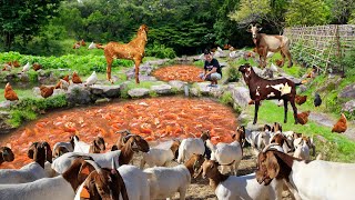 Genius Method to Raise Goats and Grow Organic Vegetables on a Freerange Farm! I bought a giant goat