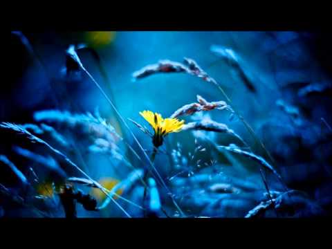 Fake Truth — Fake Truth - Empty Suits (Aman Anand Re-Interpretation)
