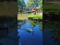 Park Voderady Slovakia #shorts #travel #slovakia #voderady