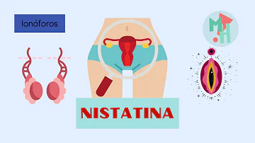 ¿Cuánto tiempo tarda la nistatina en actuar contra la cándida?