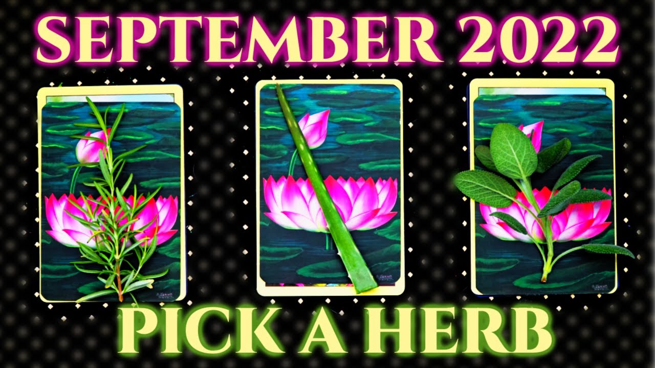 SEPTEMBER 2022 PREDICTIONS WHAT IS COMING IN? PICK A HERB / CARD