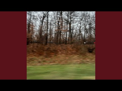 YouTube에서 Vortex 보기 YouTube에서 Vortex 보기