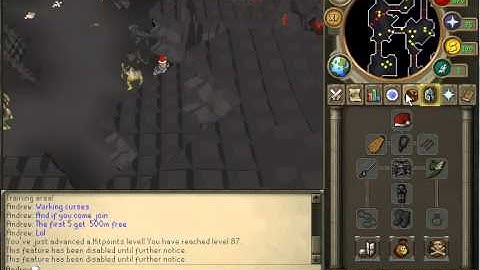 Dubstep 639 *New RSPS* Chaotics Torva Boss