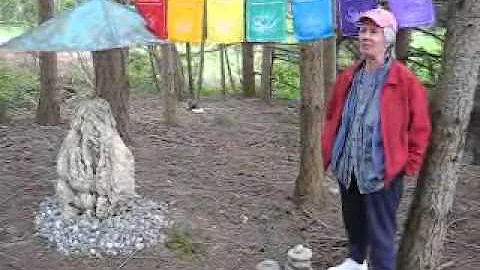 Lydia Pettis at Earth Sanctuary