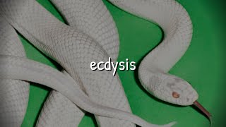 deftones - ecdysis (slowed to perfection)