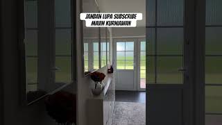 Follow Channel Mavin Kurniawan Biar Gak Ketinggal Desain Rumah Terbaru