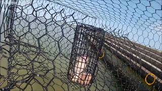 CRAB TRAP CAM: What Really Happens Underwater!