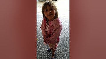 Neens Bees - double nuc box/ 5 - 10 frame