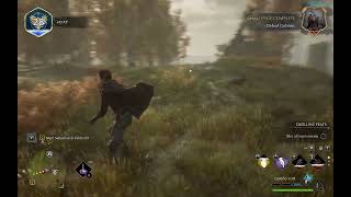 Famous Hogwarts Legacy: Swift Combos Profile