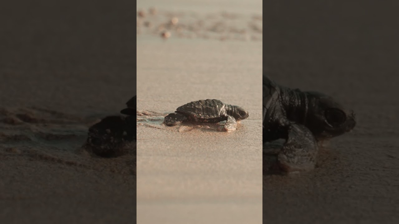 Exciting news to share!