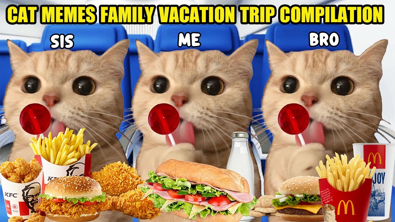 CAT MEMES FAMILY VACATION TRIP COMPILATION