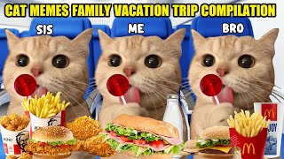 CAT MEMES FAMILY VACATION TRIP COMPILATION