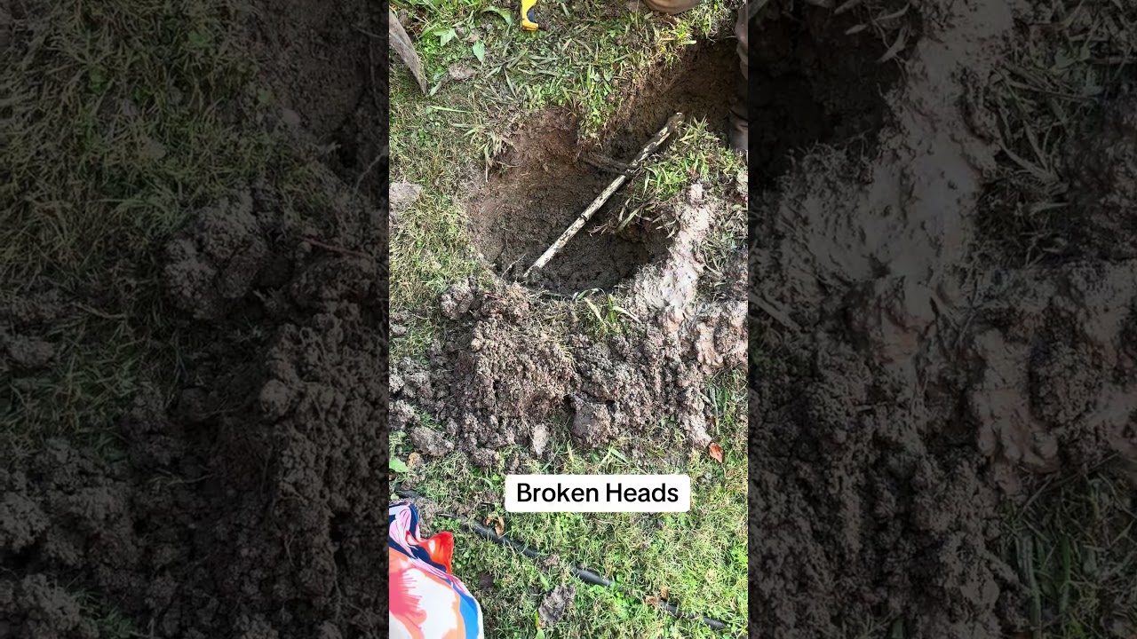 Irrigation system repairs in Prosper, Tx | Whale Done Sprinklers & Irrigation