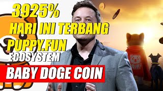 Bersiaplah Profit  3925% !! Nambah Muatan !! Baby Doge Coin Luncurkan LaunchPad Meme Coin !!