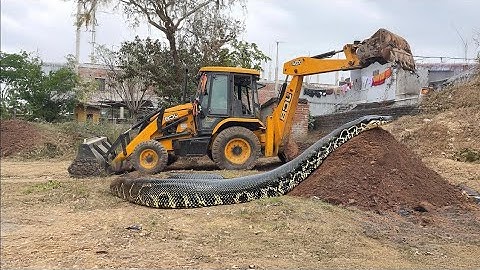 JCB 3dx Backhoe Loading Mud in Mahindra 475 JCB miti Khudai JCB video #jcb #jcbvideo