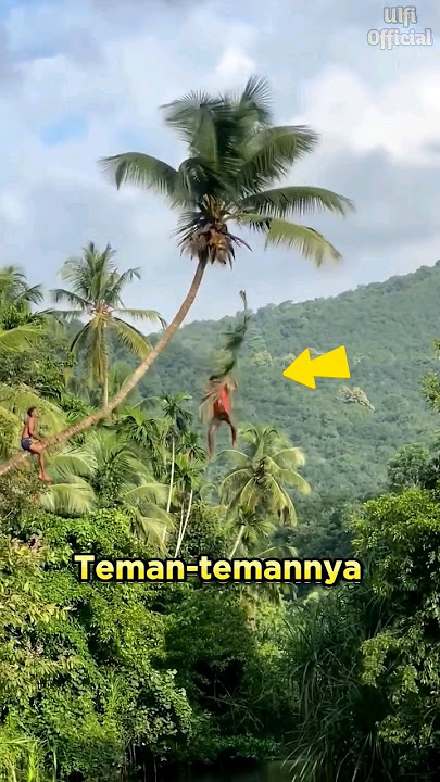 Terjatuh dari Pohon Kelapa #shorts