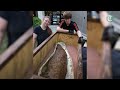 Big John, world’s largest triceratops, finds home at Glazer Children’s Museum