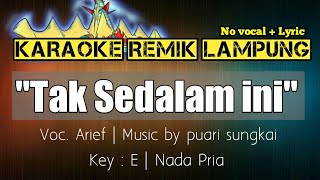 TAK SEDALAM INI - ARIEF - KARAOKE REMIK LAMPUNG - NO VOCAL screenshot 5