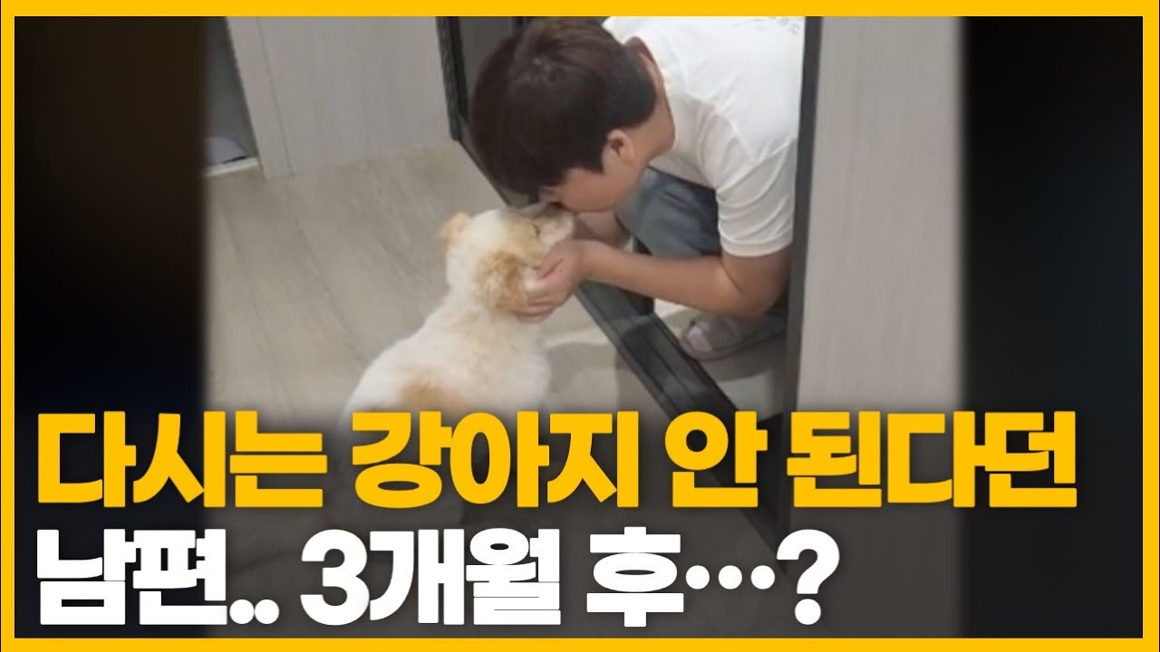 다시는 강아지 안 키운다더니.. 3개월 후 본인이 분리불안 생긴 남편;;
