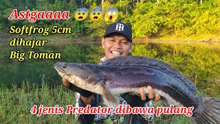 SOFTFROG 5 CM DIHANTAM BIG TOMAN || CASTING GABUS, HAMPALA, GABUS, LOUHAN RIAM KANAN screenshot 3