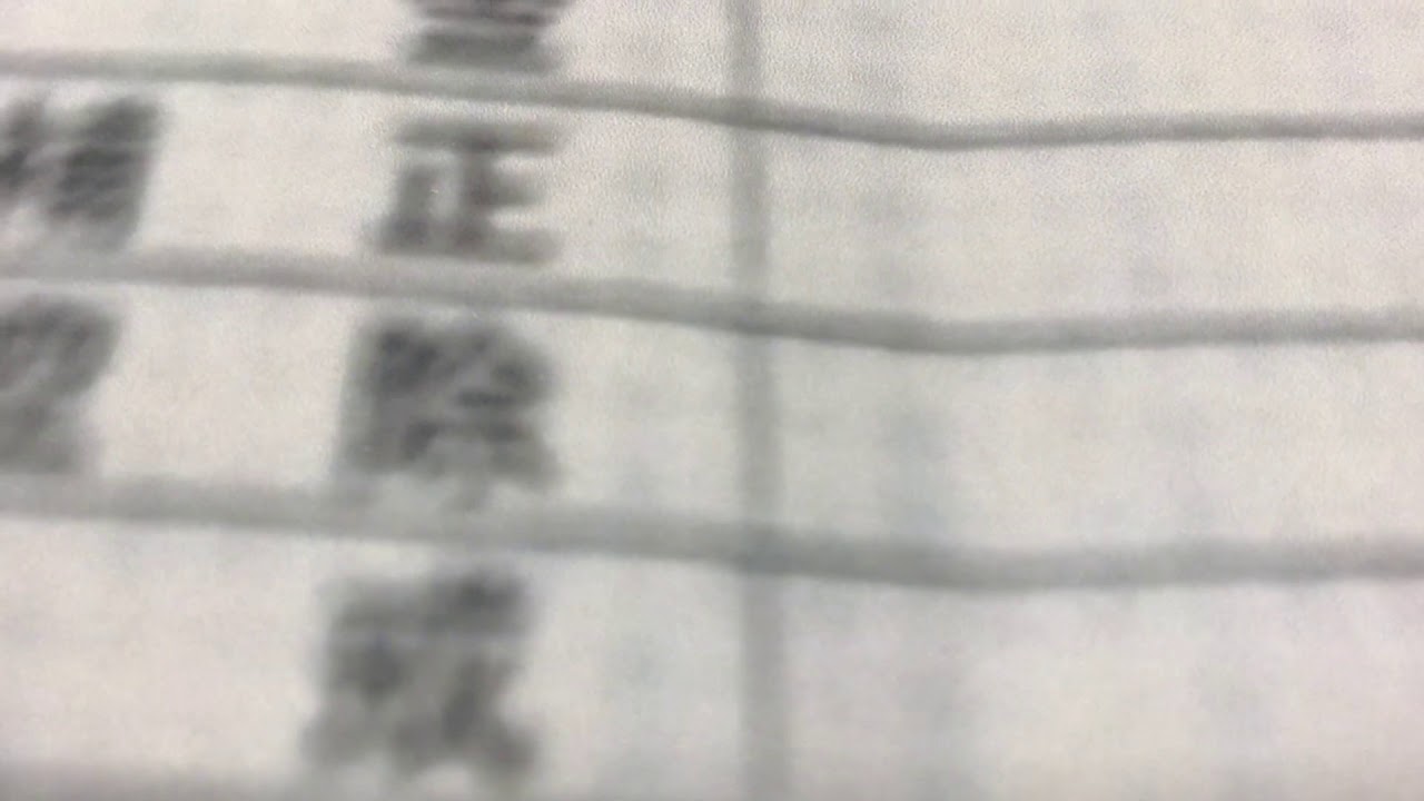 給与明細 母子家庭40代シングルマザーの子供2人犬一匹持ちの給料 Youtube