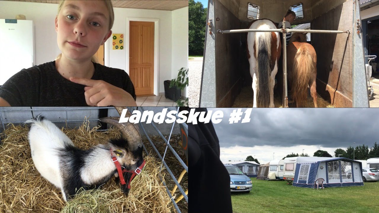 Landsskuet i Herning 2016 #1