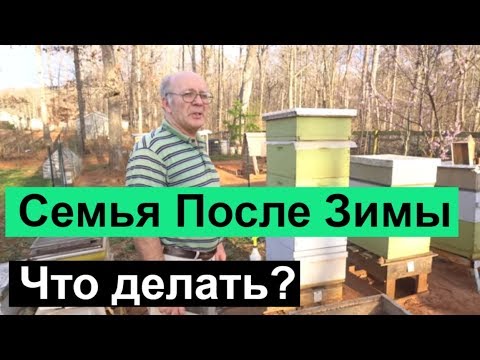 Пасека # 68