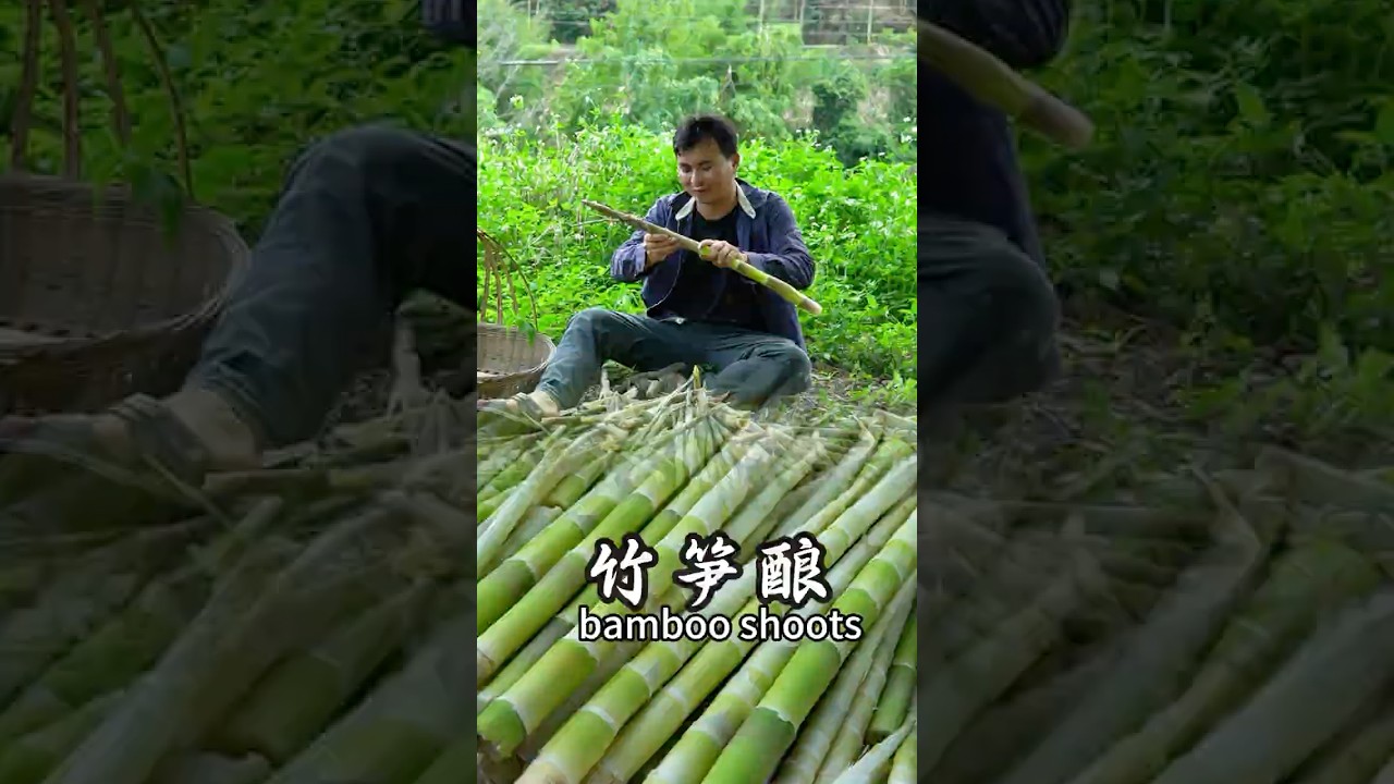 Spring bamboo shoots taste tender and delicious