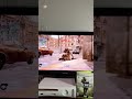 COD4 Gameplay on Strike map in 2026! Retro #callofduty #oldgen #xbox360 #fpsgaming #trending #retro