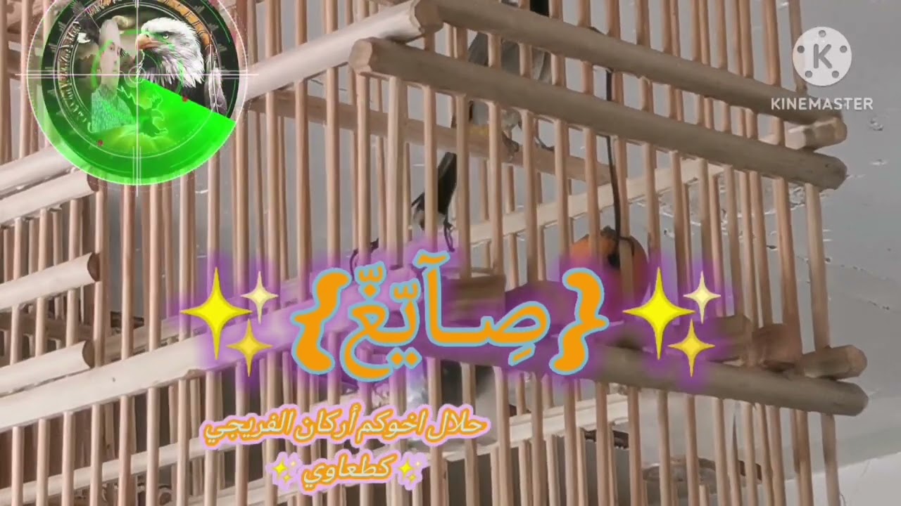 كطعاوي الملقب الصايغ مخلف ابن السنه