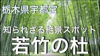 【栃木観光】栃木県民がまだ知らない隠れた絶景スポット　あの名作のロケ地としても有名　業界人も注目するHOTスポット　若竹の杜