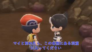 224番道路への行き方 ダイパリメイク Youtube