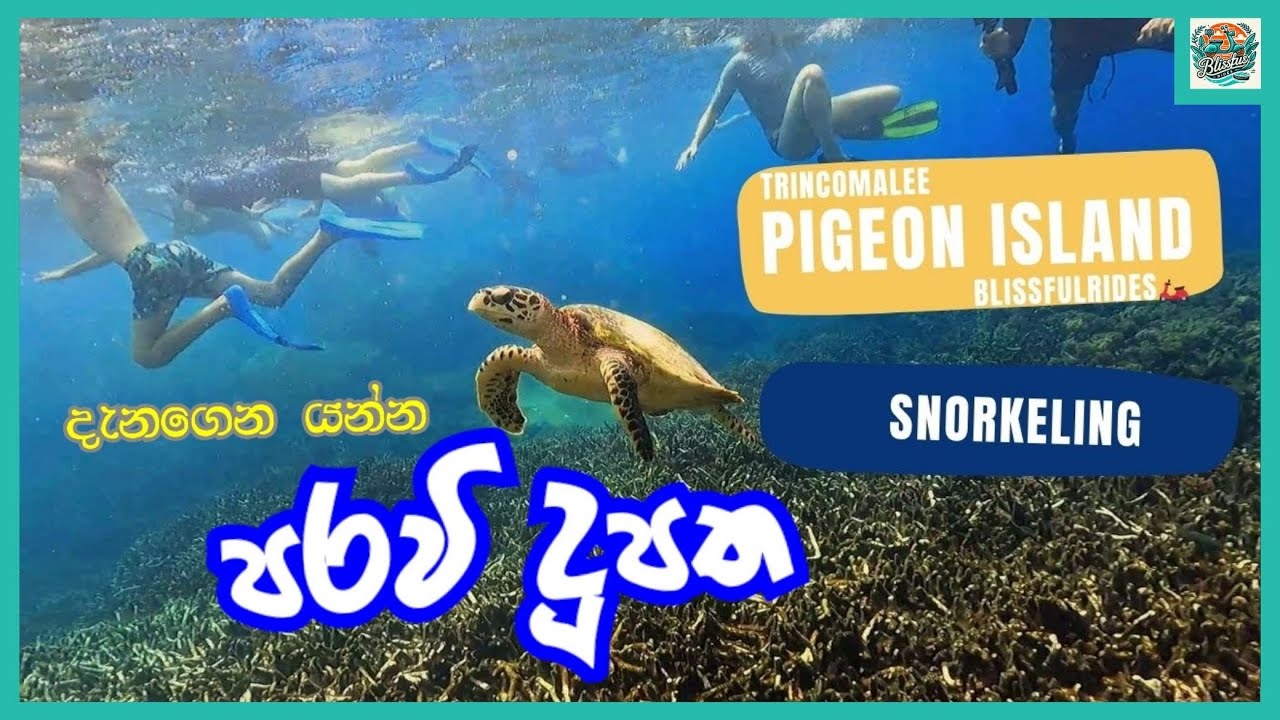 අමතක නොවන Snorkelling අත්දැකීමකට ත්‍රිකුනාමලයේ පරවි දූපත Trincomalee Pigeon Island National Park
