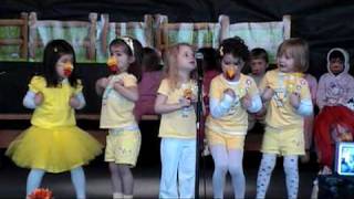Cute Chicks EI EI Oops Shreiner GA 2