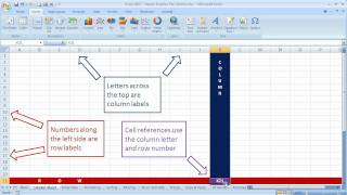 Celebrity Basic terms in Excel 2007 (Excel 07-001) Net Worth